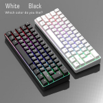 RGB M&auml;ng USB Valgustav Klaviatuur, Mini 60% Arvuti Klaviatuur 61 Klahvi S&uuml;learvuti. , K60 baltas
