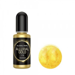 Tee-ise Ehte Tegemine: 10ml Metallik P&auml;rlmutter Pigment Alkoholi Vedelik V&auml;rvaineks Kunstitint., Aliuvinis auksas