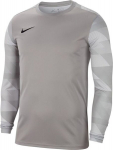 Meeste T-s&auml;rk Nike Park IV GK CJ6066 052 CJ6066 052, hall