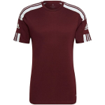 Meeste l&uuml;hikeste varrukatega pluus Adidas Squadra 21 Jersey GN8091, burgundia v&auml;rv