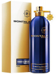 Montale Paris Amber&Spices EDP unisex 100 ml