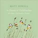Charm of Goldfinches and Other Collective Nouns