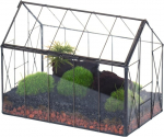 Klaasist terraarium kaanega Ncyp, 24 &times; 14 &times; 18,5 cm