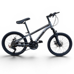 Laste jalgratas JINT 20"