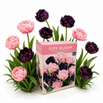 Tulbisibulate komplekt City Bloom Blush & Midnight Nojus 20 tk