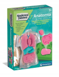 Meisterduskomplekt Clementoni Teadusm&auml;ngud. Anatoomia