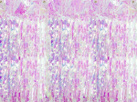 Dekoratiivne kardin vihm, l&auml;ikiv, 90x250 cm, 1 pk/1 tk