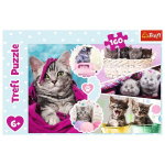 Pusle Trefl Cute Cats, 160 tk