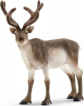 Schleich p&otilde;hjap&otilde;dra kujuke