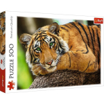 TREFL Pusle 500 Tiiger
