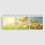 Kolmeosaline reproduktsioon Liblikad