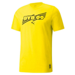 Meeste T-s&auml;rk Puma Borussia Dortmund Tee M 759992 01, kollane, S