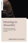 Meaning in Absurdity - What bizarre phenomena can tell us about the nature of reality: What Bizarre Phenomena Can Tell Us About the Nature of Reality