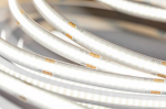 GTV LED riba COB LD-COB12V-20-NEPQ, 5 m, 4000K