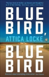 Bluebird, Bluebird Main
