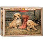 Pusle Eurographics, 6000-0795, Something Old, Something New, 1000 tk