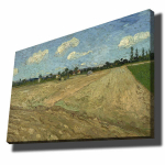 Reproduktsioon Ploughed fields