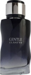 Reyane Tradition Gentle Elsatys EDP meestele 100 ml