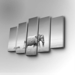 Viieosaline reproduktsioon Elevant ja sebra