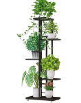 Lillealus Ficus 43x22x98cm, hall