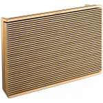 Bang & Olufsen Beosound Level Gold Tone