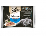 Sheba Selection in Sauce kassikonservi komplekt kalaga, 13 x 340 g