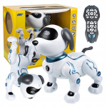 Kaugjuhitav robot, koer