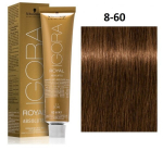 P&uuml;siv&auml;rv Igora Royal Absolutes Schwarzkopf 8-60 (60 ml)