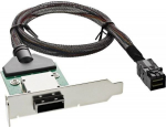InLine SAS HD Low Profile Adapter Bracket ext. SFF-8088 to int. SFF-8643 0.5m (27656A)