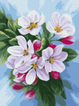 Maalimine numbrite j&auml;rgi Dolovija Annasteshka, 30x40cm