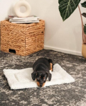 Voodi &ndash; matt loomadele Lionto, erinevad suurused