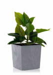 Lillepott Flore Grey Concrete, 25x25 cm