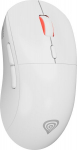 'Genesis Souris Zircon XIII Blanche'