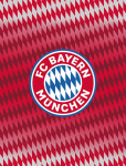 Tekk 130x170 Bayern M&uuml;nchen Original Fleece, Antklodė 130x170 Bayern Munich Original Fleece