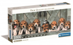 Clementoni pusle 1000 Panorama Compact Beagles 39869