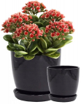 Keraamiline lillepott alusega must 18 cm