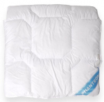 Antiallergiline talvine duo pehme padi 220x200