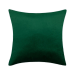Dekoratiivpadi elutuppa, veluur, 40x40, roheline, antiallergiline