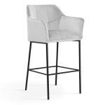 Baro tool Wood Garden Boston, hall