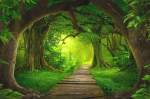 Moodne seinamaaling elutuppa Magic forest path 197x296