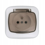 Seinapistikupesa montis valge