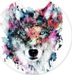 Telefonihoidja PopSockets 800394