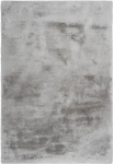 Vaip Emotion h&otilde;bedane 120x170 cm