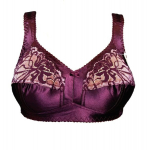 Rinnahoidja Sandra.Ploom