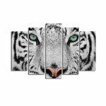 Viieosaline reproduktsioon Tiiger