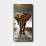 Reproduktsioon Elevant