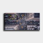 Reproduktsioon Liiklus