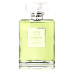 Chanel No. 19 Poudre EDP naistele 100 ml