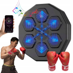 Nutikas poksi simulaator + kindad