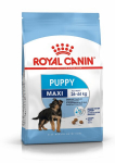 Royal Canin immuunsuse tugevdamiseks Maxi junior, 1 kg